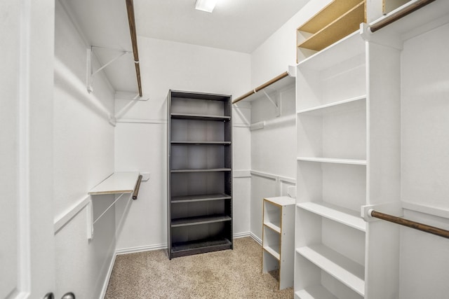 31767 Chapel Rock Ln, Spring, TX 77386 - walk in closet with carpet