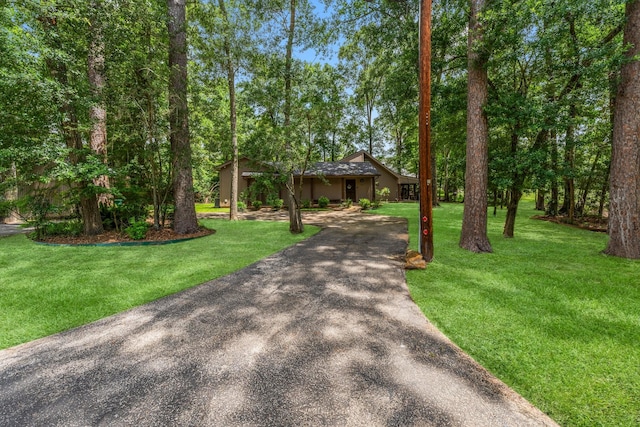 111 Mesa Ct, Conroe, TX 77304 - view of front of property with asphalt driveway, a front yard, and stucco siding