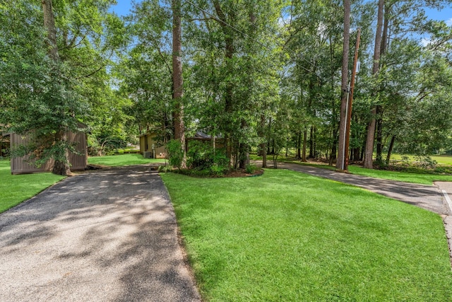 111 Mesa Ct, Conroe, TX 77304 - view of home's community featuring driveway and a yard