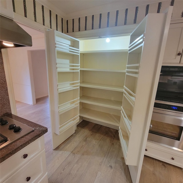 5227 Imogene St, Houston, TX 77096 - view of pantry