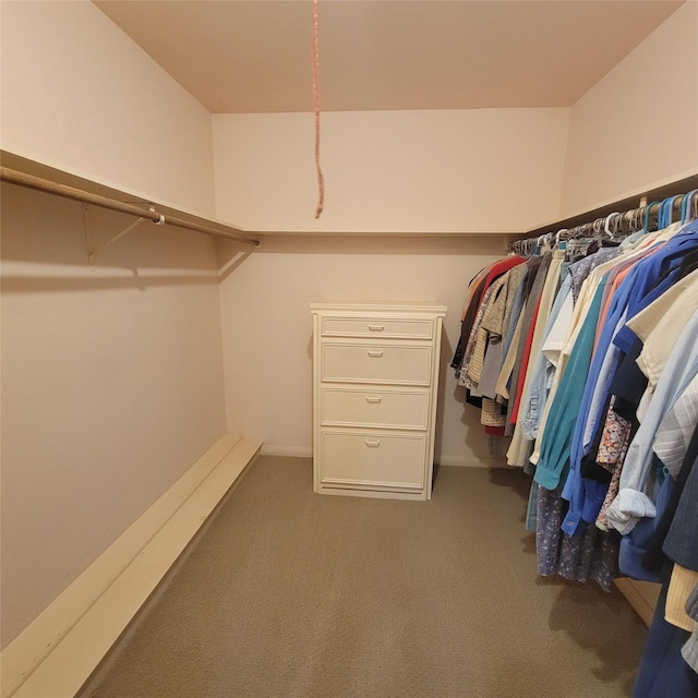 5227 Imogene St, Houston, TX 77096 - walk in closet with carpet floors