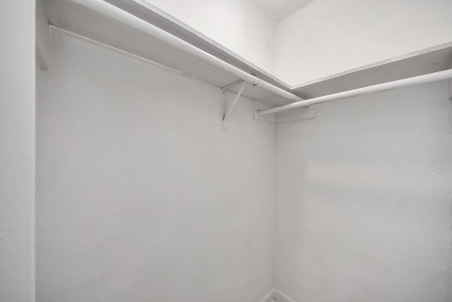 10731 Forest Leaf Dr, Sugar Land, TX 77498 - view of walk in closet