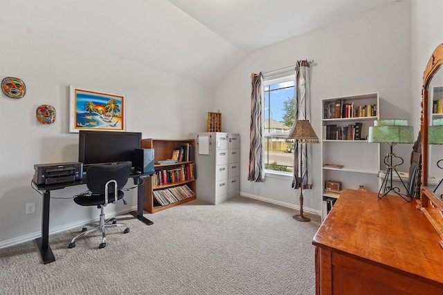1203 Casal Springs Ct, Crosby, TX 77532 - home office with vaulted ceiling and carpet flooring