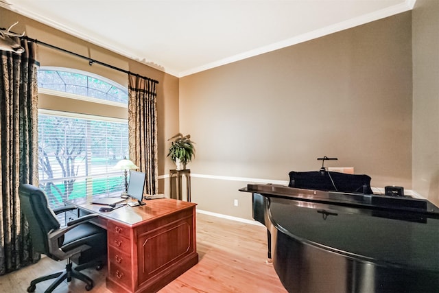 13330 Via Torre De Pisa Ln, Cypress, TX 77429 - office space featuring light wood-type flooring and crown molding