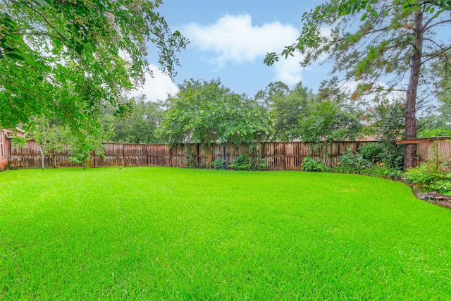 13330 Via Torre De Pisa Ln, Cypress, TX 77429 - view of fenced backyard