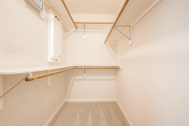 7210 Welshwood Ln, Sugar Land, TX 77479 - walk in closet with carpet floors