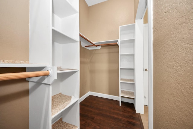 204 Audubon Woods Ct, Richwood, TX 77531 - spacious closet featuring wood finished floors