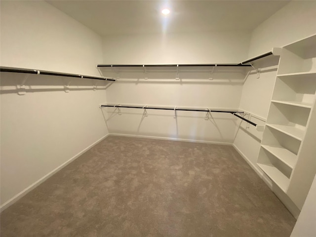 17910 Rillette Rd, Conroe, TX 77302 - spacious closet featuring carpet flooring