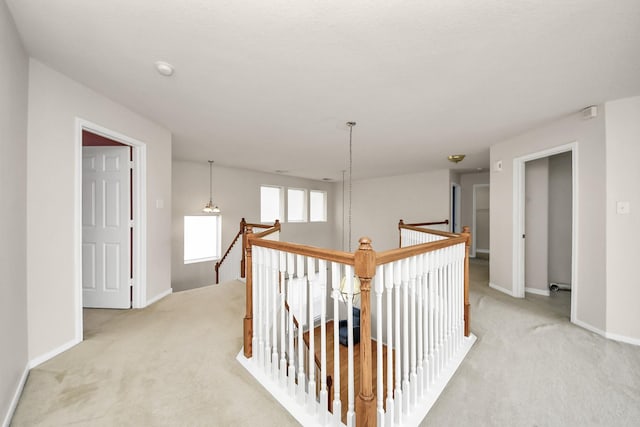 24219 Camillia Ridge Way, Katy, TX 77493 - corridor featuring an upstairs landing and carpet flooring