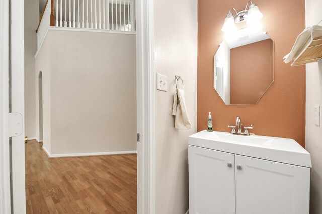 24219 Camillia Ridge Way, Katy, TX 77493 - bathroom with wood finished floors and vanity