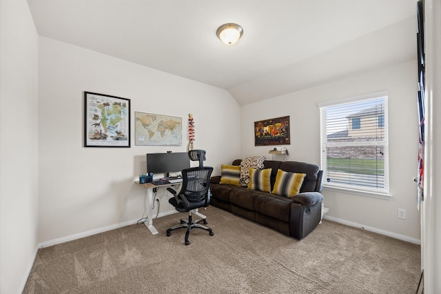 9127 Sasson Blvd, Houston, TX 77044 - office space with carpet flooring and vaulted ceiling