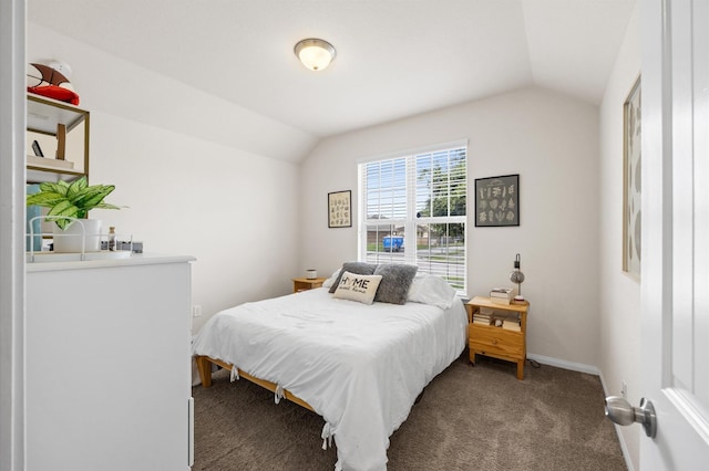 9127 Sasson Blvd, Houston, TX 77044 - bedroom with vaulted ceiling and carpet floors