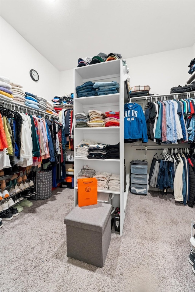 2131 Acadian Way, Brookshire, TX 77423 - walk in closet with carpet flooring