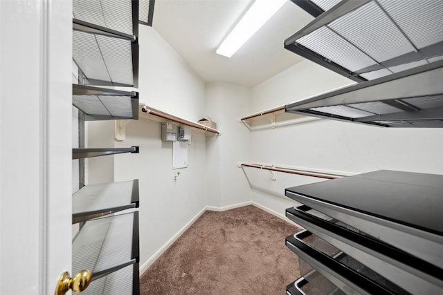 15331 Springhill Bend Ln, Cypress, TX 77429 - walk in closet with carpet