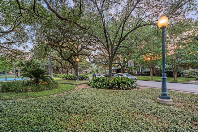 1621 Cherryhurst St, Houston, TX 77006 - view of home's community
