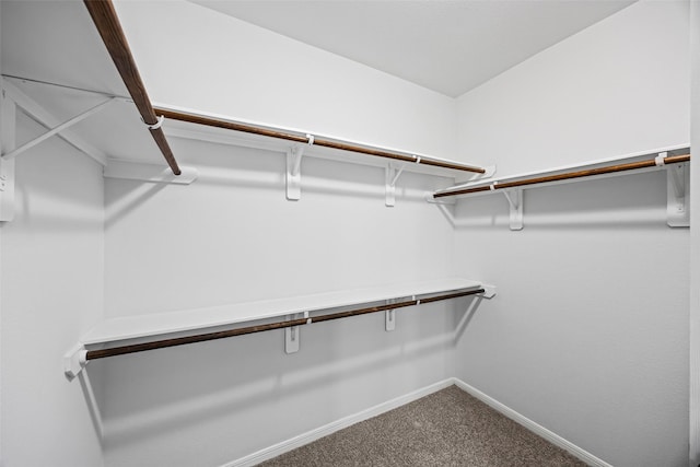 9203 Sasson Blvd, Houston, TX 77044 - spacious closet featuring carpet floors