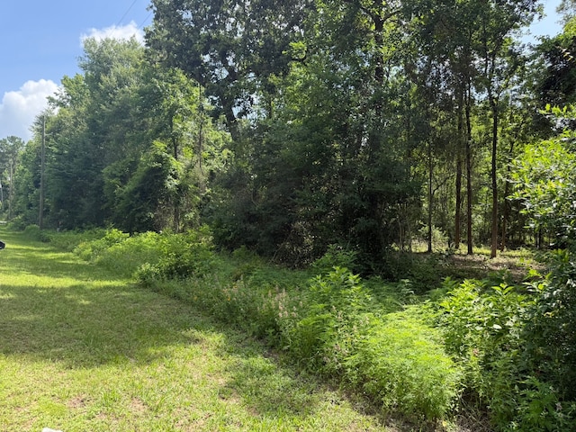 0 Paradise Point Dr, Willis, TX 77318