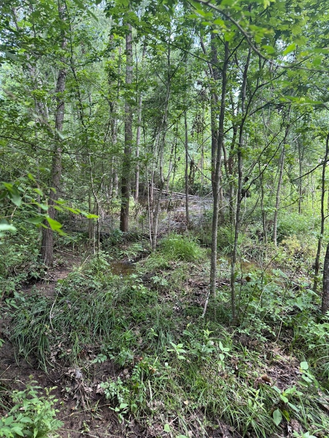 0 Paradise Point Dr, Willis, TX 77318