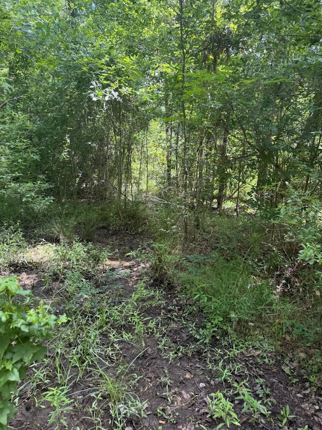 0 Paradise Point Dr, Willis, TX 77318
