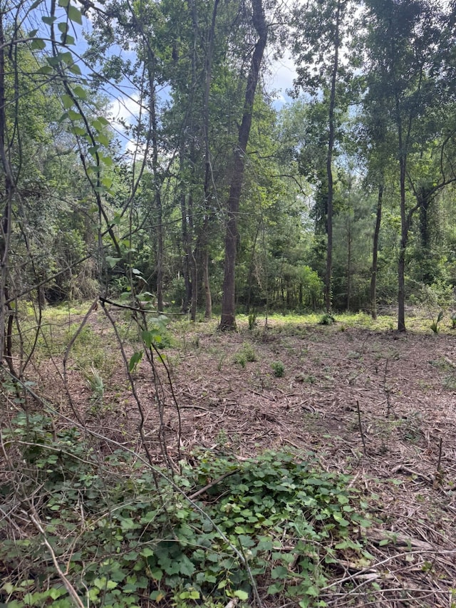0 Paradise Point Dr, Willis, TX 77318