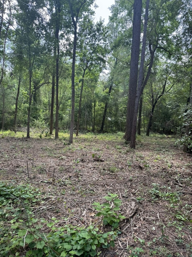 0 Paradise Point Dr, Willis, TX 77318