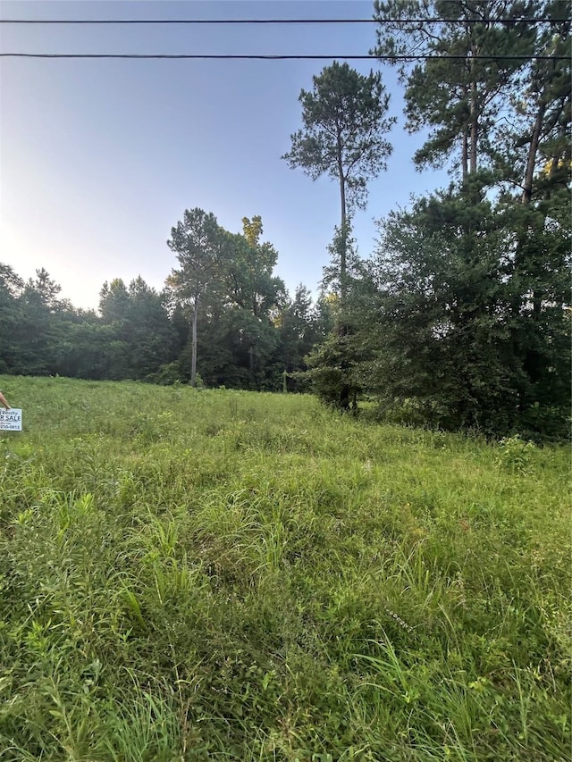 01 Broken Bough St, Shepherd, TX 77371