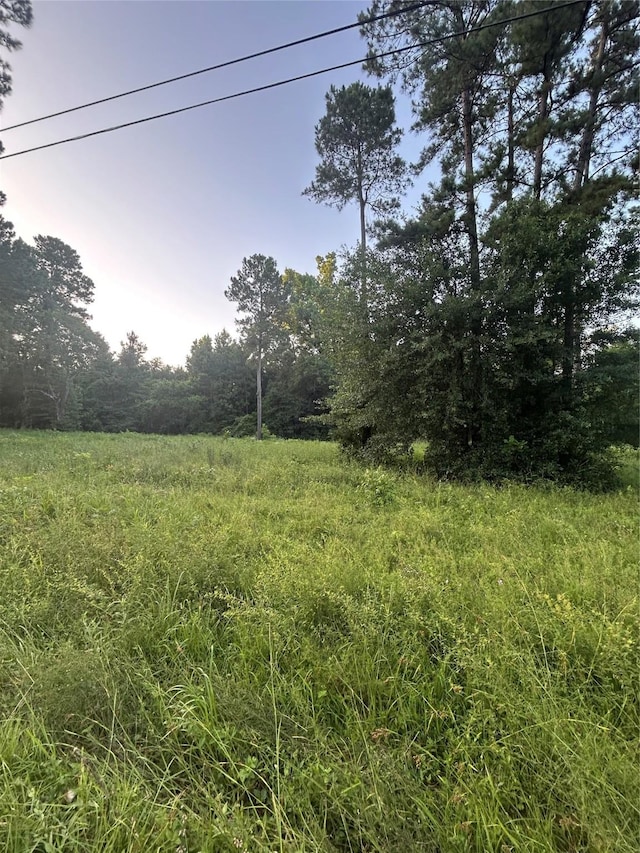 01 Broken Bough St, Shepherd, TX 77371