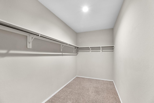 2431 Sutton Hollow Ct, Spring, TX 77373 - spacious closet featuring carpet flooring