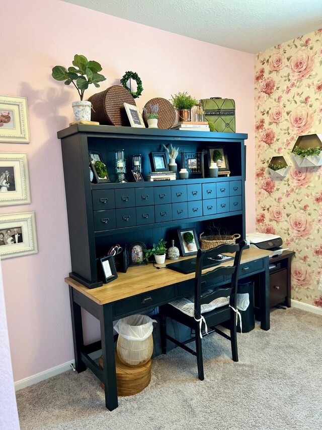 20809 Langworth Pl, Porter, TX 77365 - home office with light carpet and a textured ceiling