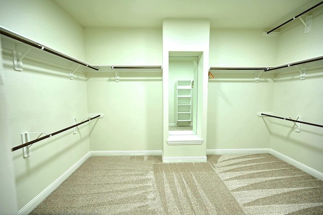 9002 Lacombe Ln, Tomball, TX 77375 - spacious closet with carpet floors