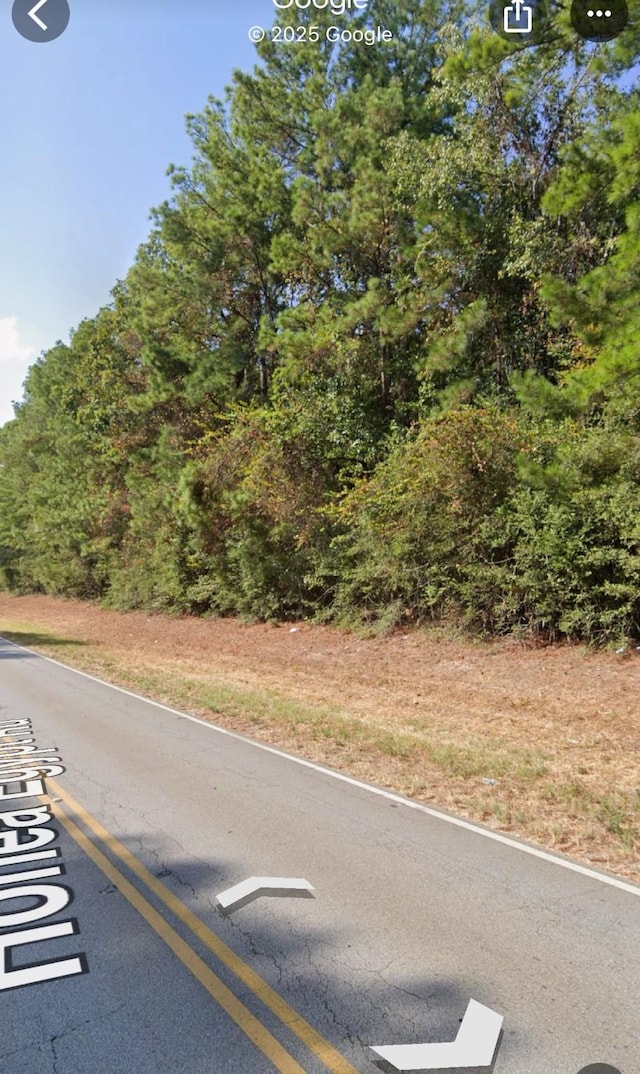 1417 Honea Egypt, Magnolia, TX 77354