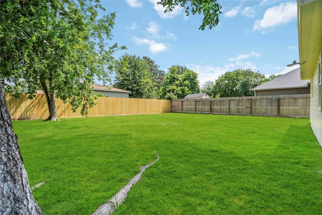 798 Fair St, Houston, TX 77088 - view of fenced backyard