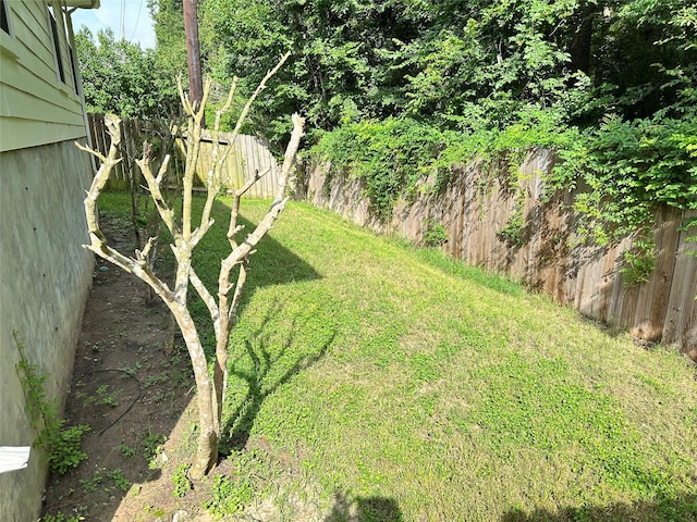 2827 Cypress Island Dr, Houston, TX 77073 - view of fenced backyard