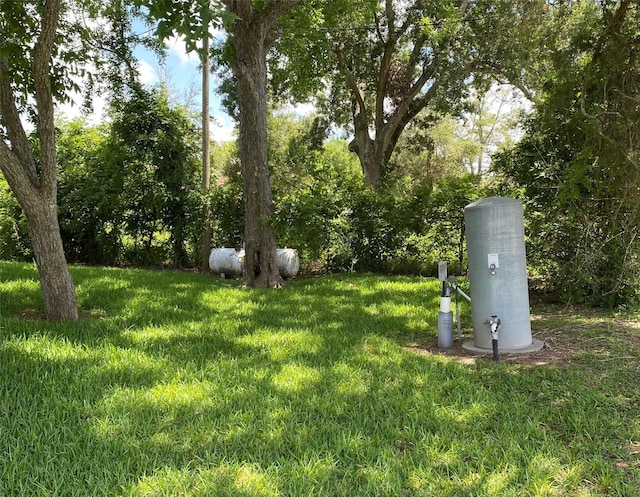00 Green Valley Dr, Rosharon, TX 77583