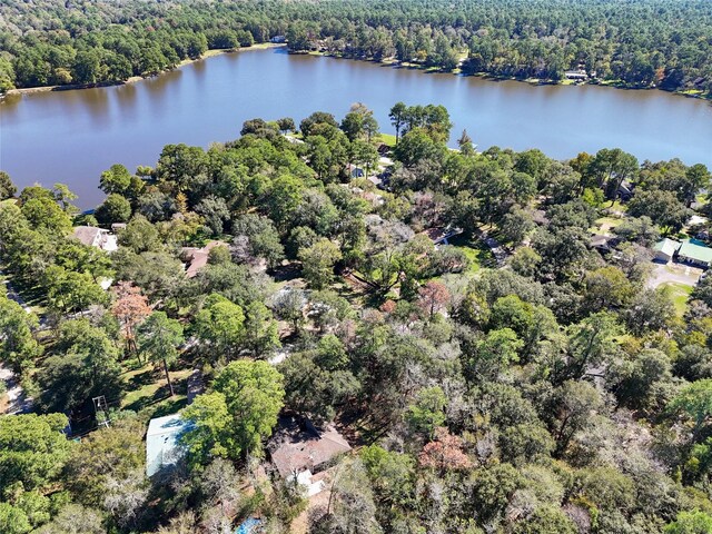 1888 Northshore Dr, Conroe, TX 77304 - photo 26