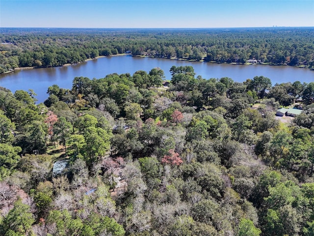 1888 Northshore Dr, Conroe, TX 77304 - photo 27