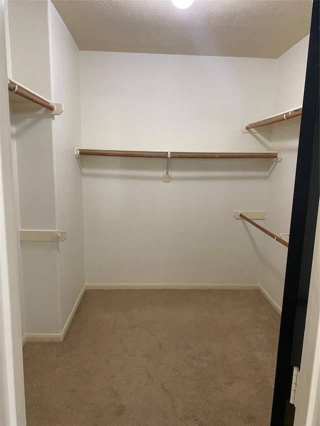 1711 Aden Mist Dr, Houston, TX 77003 - walk in closet featuring carpet flooring