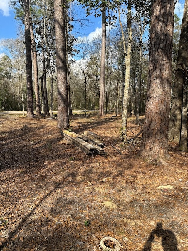 LOT1AND2 Mcclains Rd, Shepherd, TX 77371