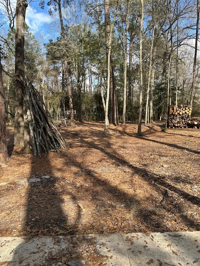 LOT1AND2 Mcclains Rd, Shepherd, TX 77371