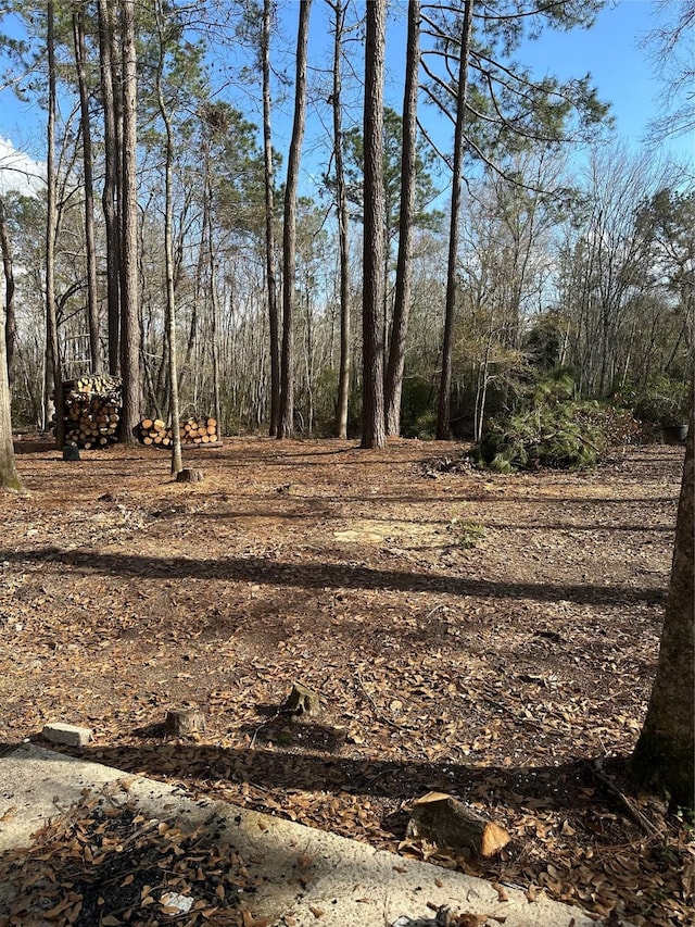 LOT1AND2 Mcclains Rd, Shepherd, TX 77371