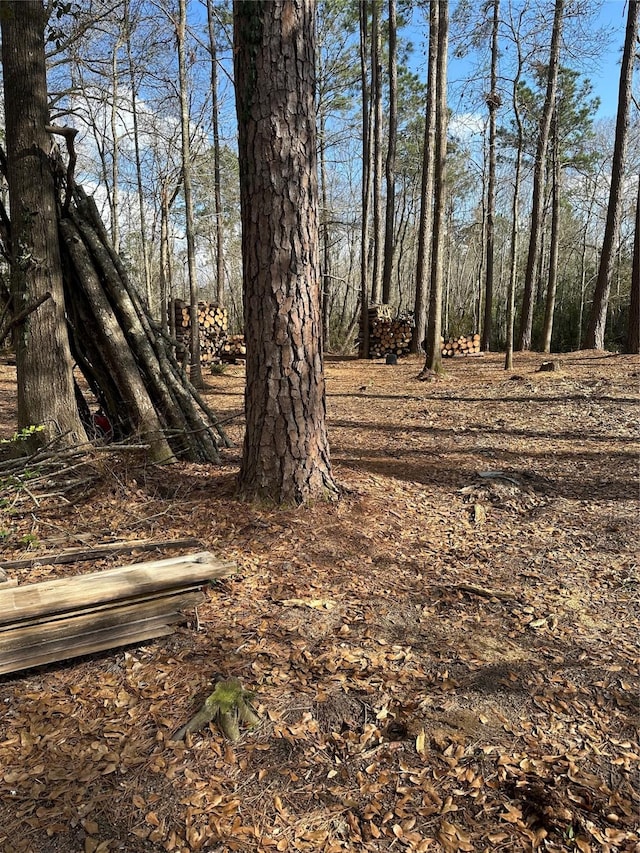 LOT1AND2 Mcclains Rd, Shepherd, TX 77371