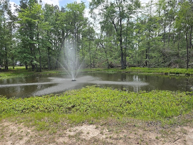 18220 Quail Run Cir, Conroe, TX 77302 - photo 24