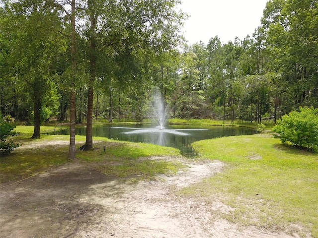 18220 Quail Run Cir, Conroe, TX 77302 - photo 25
