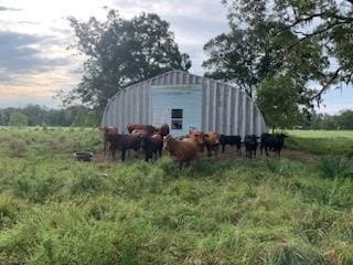 10496 County Road 321, Sweeny, TX 77480