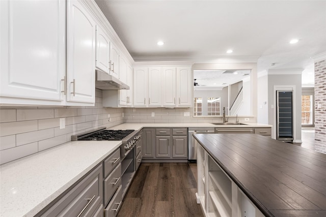 12014 Via Davinci Ln NW, Cypress, TX 77429 - kitchen with appliances with stainless steel finishes, gray cabinets, ornamental molding, dark wood finished floors, and healthy amount of natural light