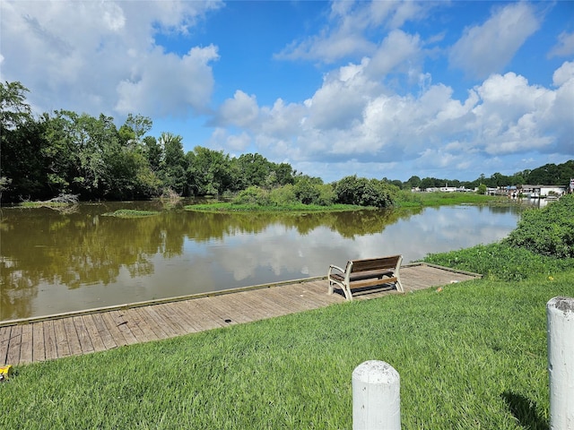 11670 Vistawood St, Willis, TX 77318 - dock area with a water view and a yard