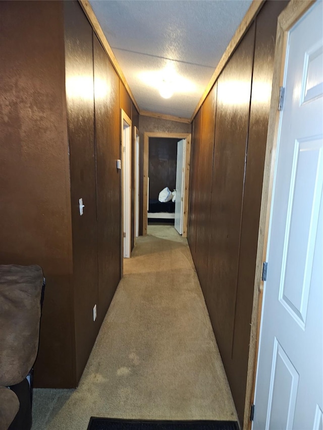 11670 Vistawood St, Willis, TX 77318 - corridor with light colored carpet