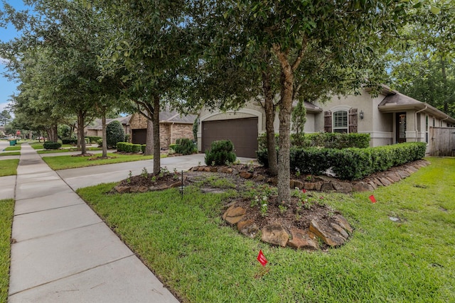 123 Elderberry Trl, Montgomery, TX 77316 - photo 6