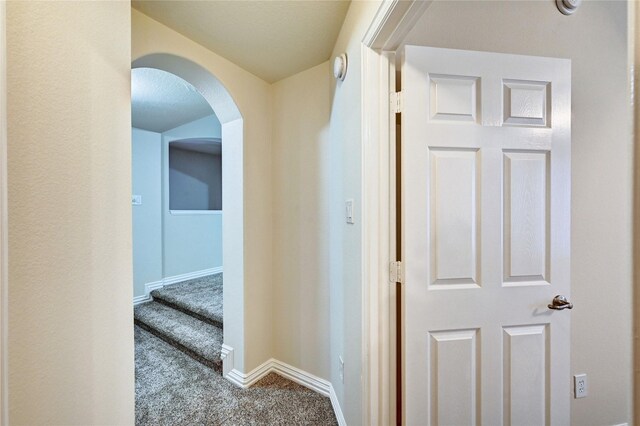 30 N Scribewood Cir, The Woodlands, TX 77382 - photo 31