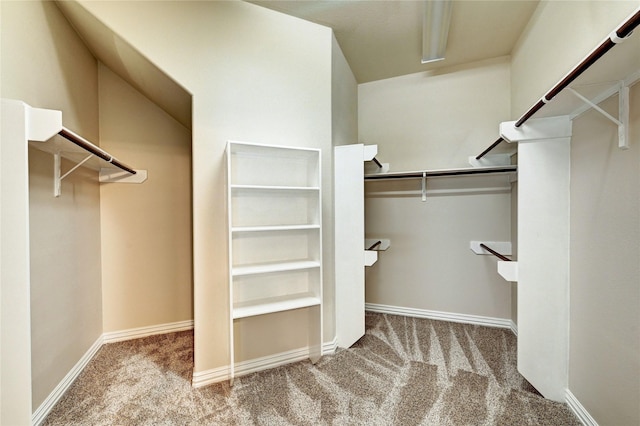 30 N Scribewood Cir, The Woodlands, TX 77382 - walk in closet with carpet